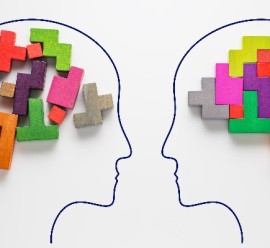 Psychological /Psychometric Assessments